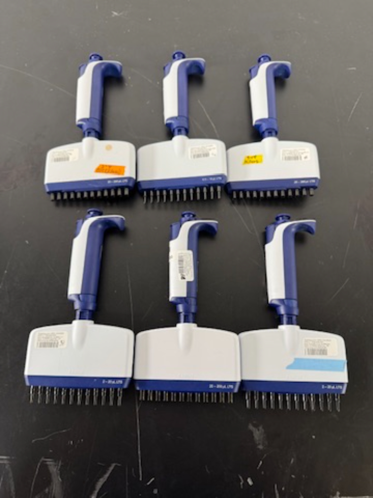 Image of Rainin Pipet-Lite XLS Multichannel Pipettes - Quantity 6
